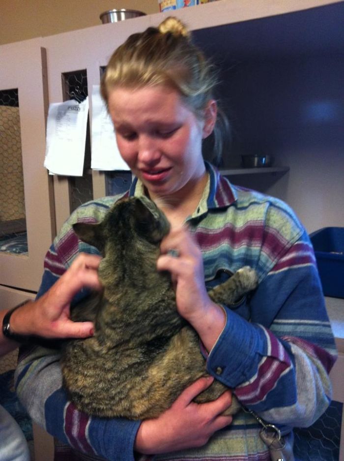 Woman Goes To Pet Cats At A Shelter And Finds Her Cat Who Had Been Missing For A Year