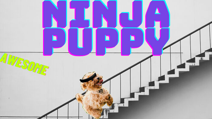 Ninja Puppy