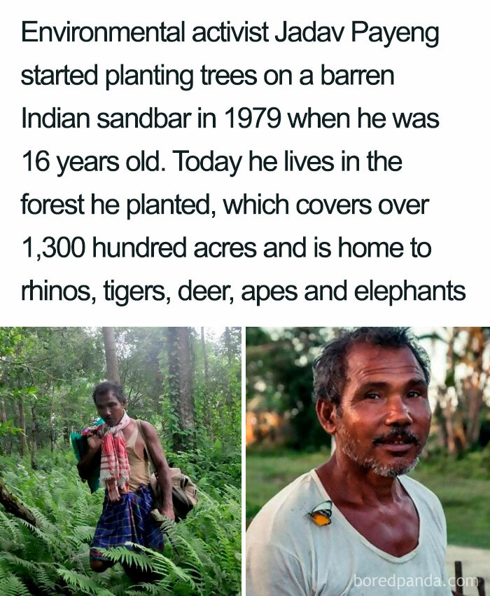 The Man Who Planted An Entire Forest!