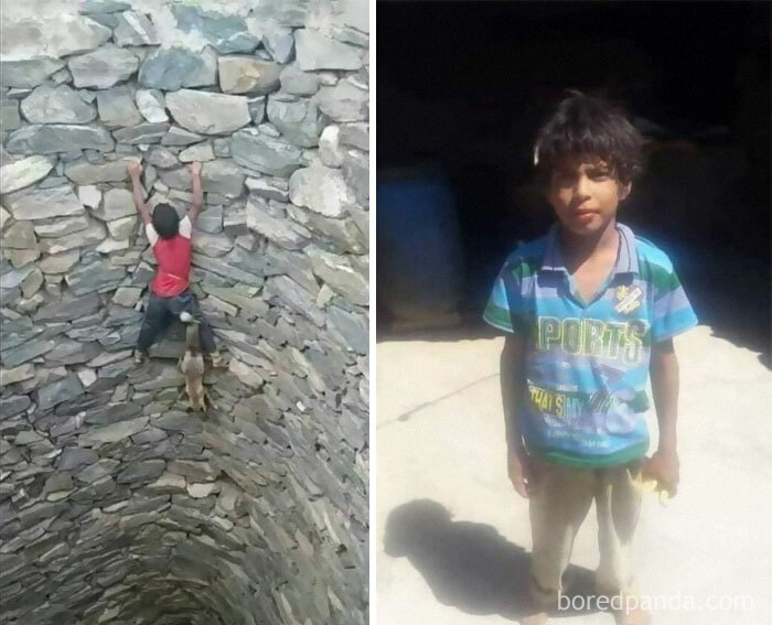A 9 Year Old Boy From Yemen Rescued A Fox From A Well That Was 3 To 4 Floors Deep Without Any Insurance Ropes