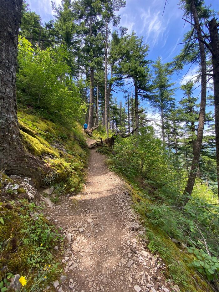 Oregon Hiking