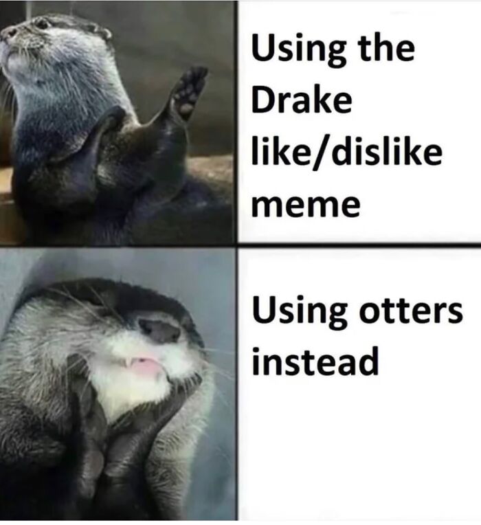 Otter Drake