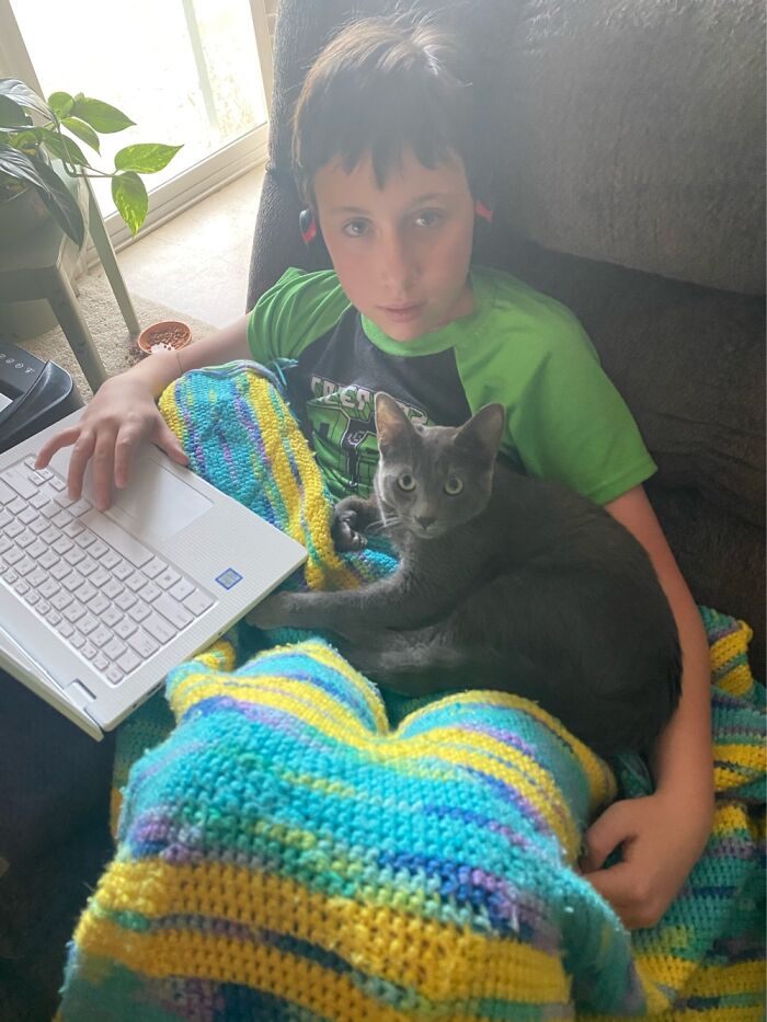 Kitty Helping His Boy On The Computer