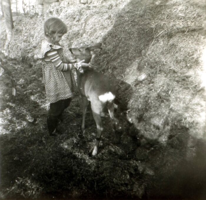 My Mom Ca. 1962, With A Baby Deer, East Germany.