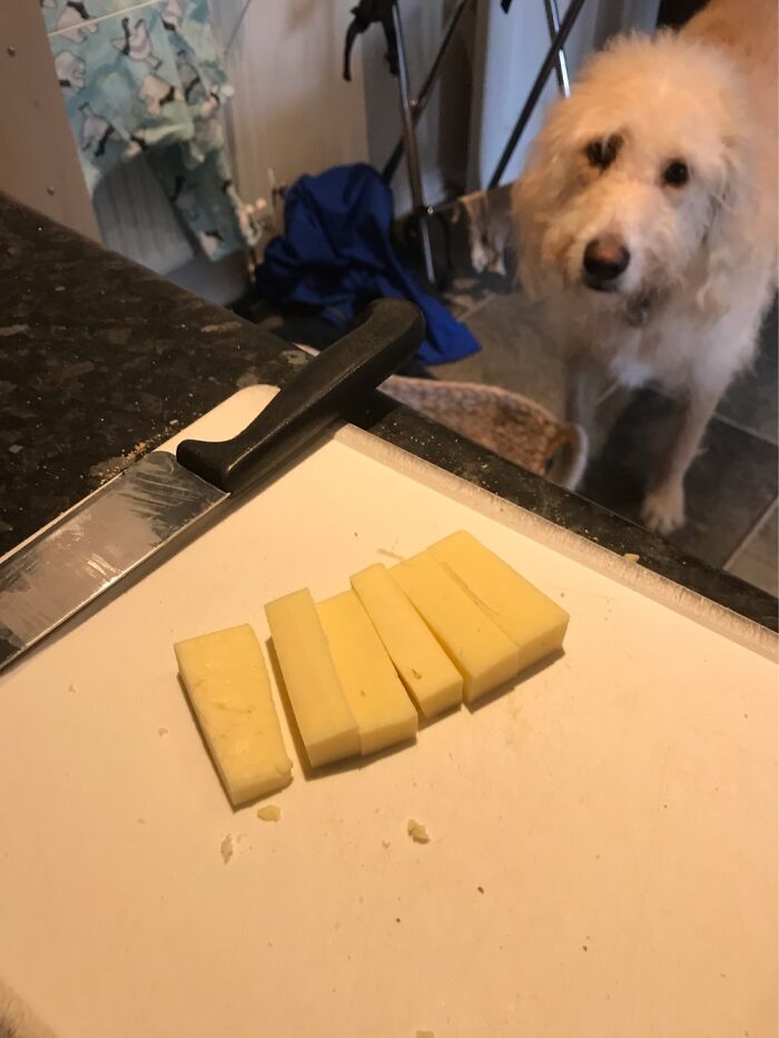 Cheese Radar Activated
