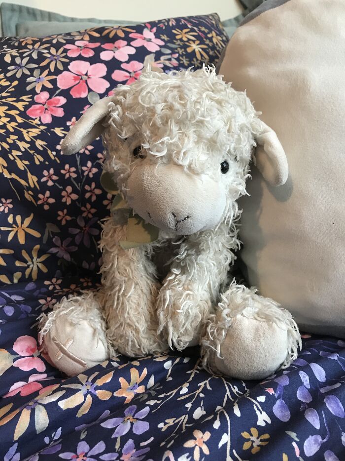 The Lamb I’ve Had Since I Was A Baby