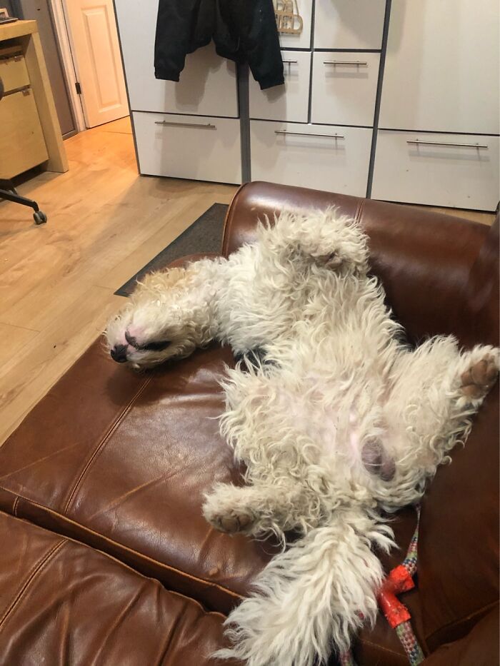 His Favourite Sleeping Position!