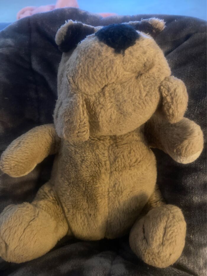 This Lopsided Doggie Is Wrinkles. I Got Him When I Was About 6 And He’s Now 33 Years Old.