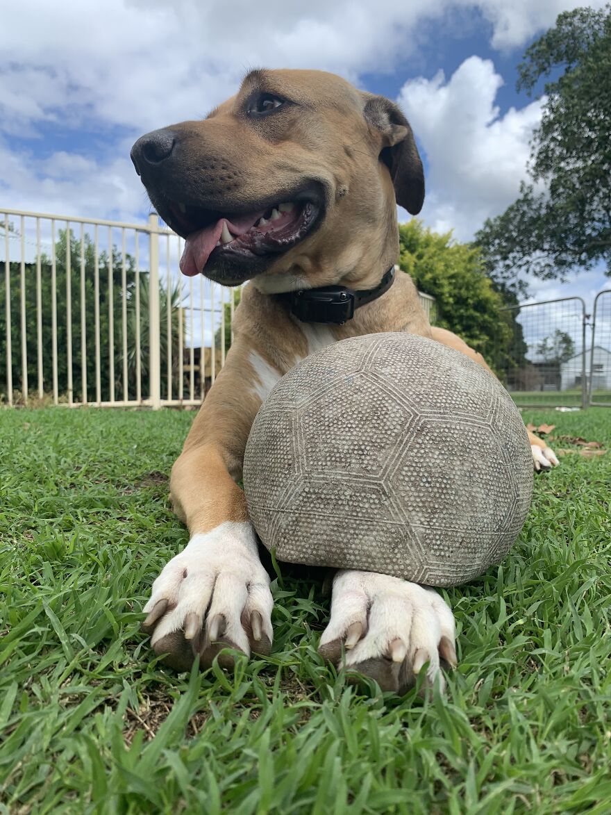 Miss Indi Girl
