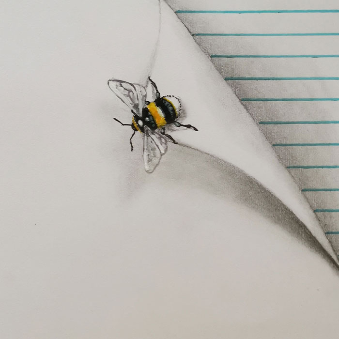 I Draw These Illusions With Cute Little Insects (6 Pics)