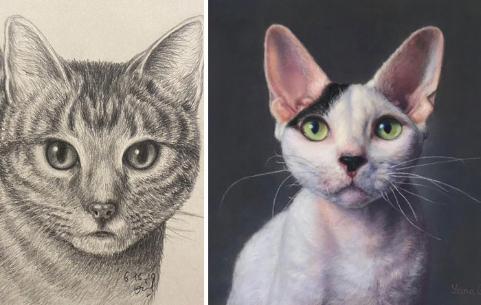 My First Cat Drawing vs. Recent One. If You Are Not Happy With Your Results Right Now, Just Keep Going. Eventually You Will Improve