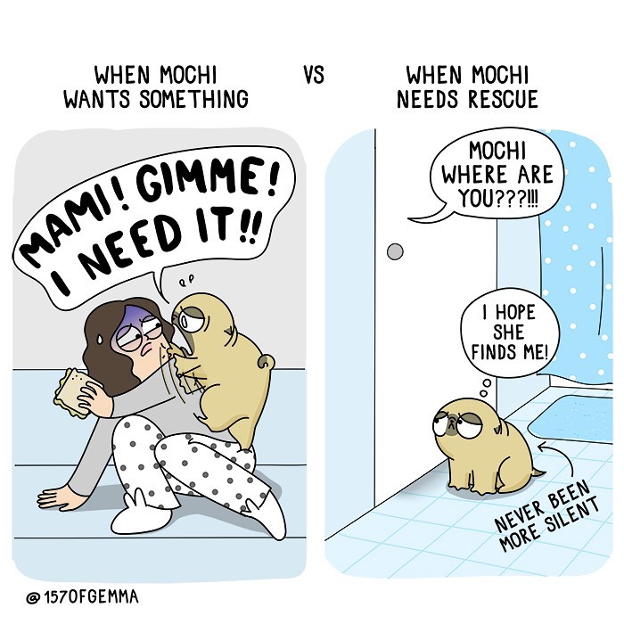 Life-With-Pug-Mochi-Comic-Gemma-Gene-157ofgemma