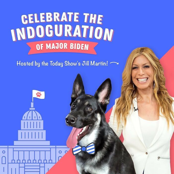 Major Biden, First Rescue Dog In The White House, Had A Virtual "Indoguration" That Attracted 10,000 Viewers