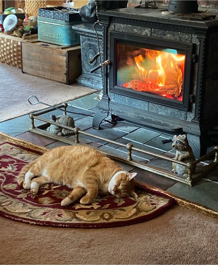 My Fireplace, My House, Not My Cat