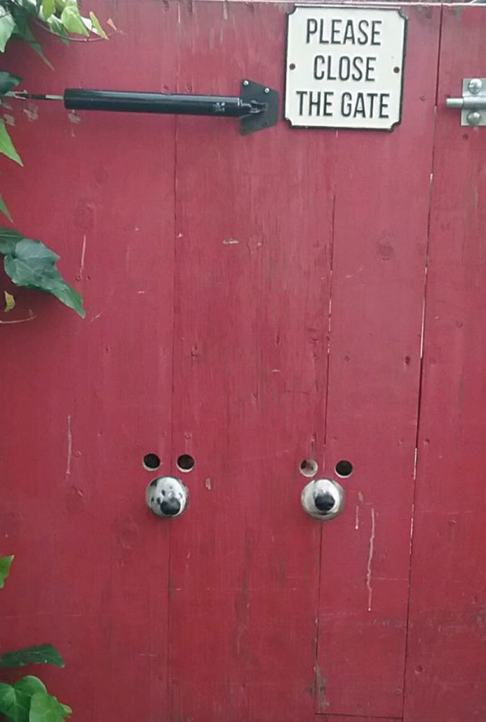 When Gates Have Eyes. And Wet Noses