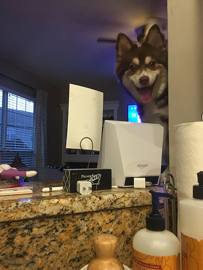 My Sister Said She Turned Around And A Good Boy Was Peeking At Her