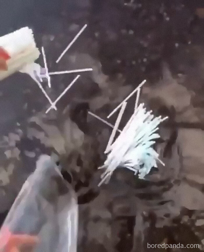 Purposely Throwing Plastic Straws Into The Lake
