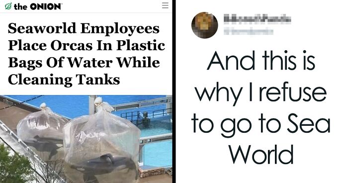 50 Times People Fell For Fake Satirical Articles And Made Fools Of  Themselves Online | Bored Panda