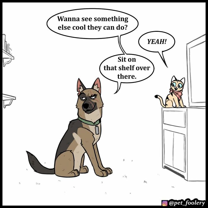 8 New Hilariously Adorable Comics About Pixie And Brutus To Instantly Make Your Day
