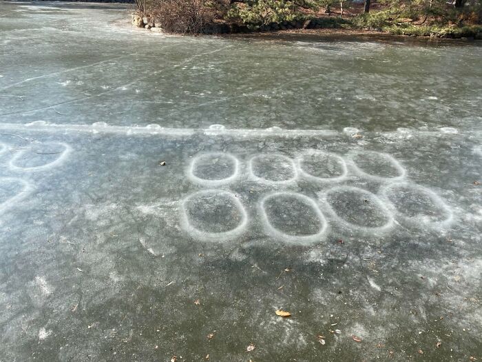 These Rings Frozen Into The Reservoir At Changdeokgung Palace In Seoul. Details In Captions And Comments