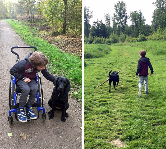 8 Months Ago, Our Son Got A Support Dog. Our Son Was Mostly Wheelchair Dependent. We Hoped His Dog Would Help Him Grow Stronger. I Think We Can Conclude That Together They Succeeded