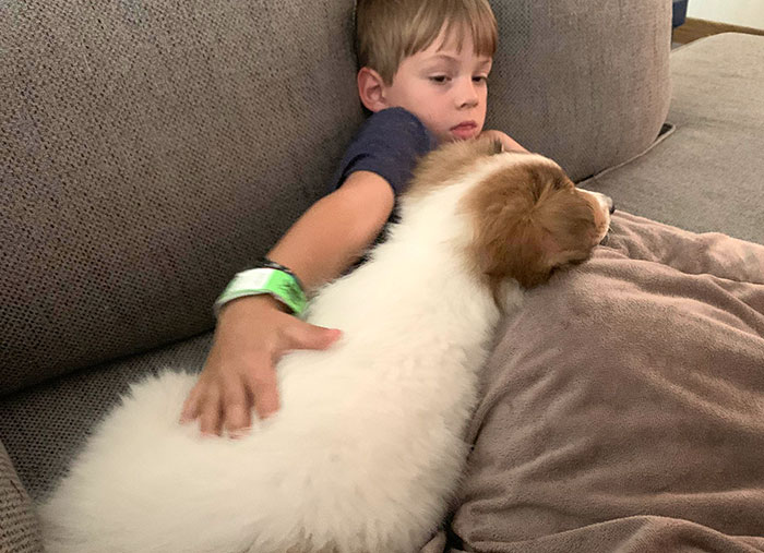 Our New Puppy Has An Extra Special Bond With Our Son With ASD