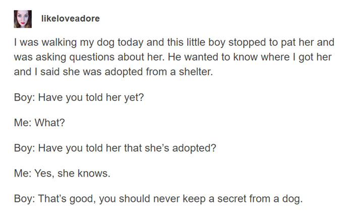 That's Why Dogs Are Human's Best Friends