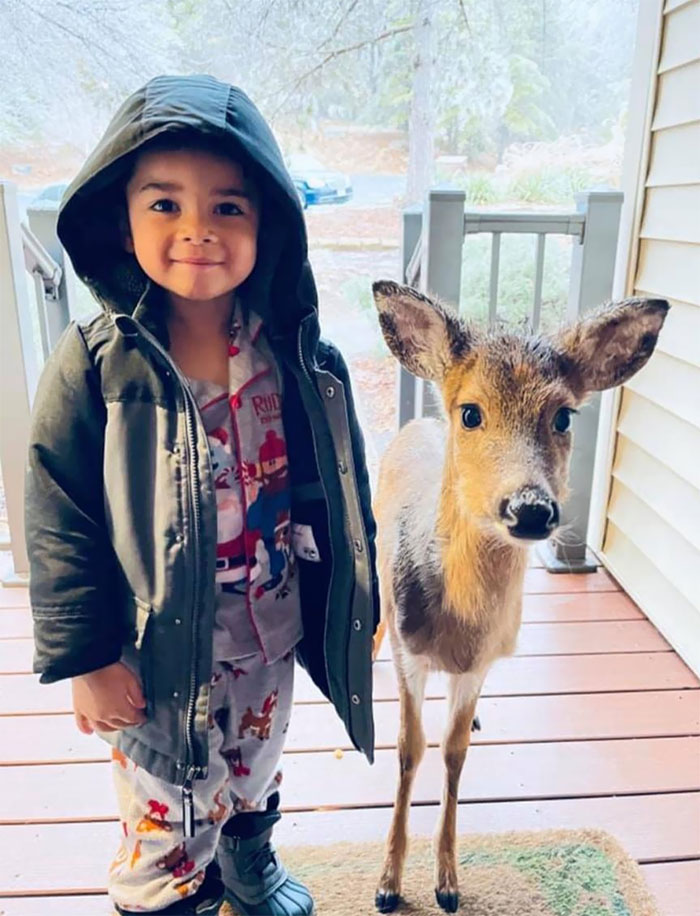 4-Year-Old In Virginia Today Went Outside To Play Then Came Back To The Front Door With A New Friend