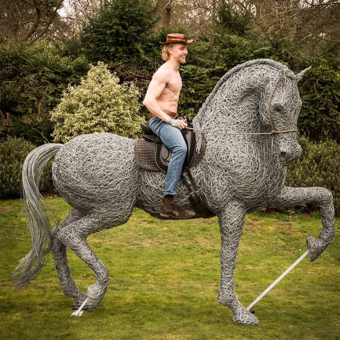 37 Incredible Animal Sculptures Created Out Of Galvanized Wire By This Norfolk-Based Artist