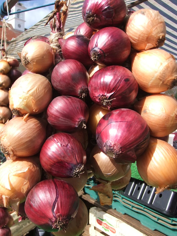Til That It Is Illegal To Trade Onion Futures In The United States Due To The 1958 Onion Futures Act, After Two Traders In 1955 Purchased 98% Of The Onions In Chicago And Subsequently Crashed Onion Prices While Holding Short Positions On Onion Futures