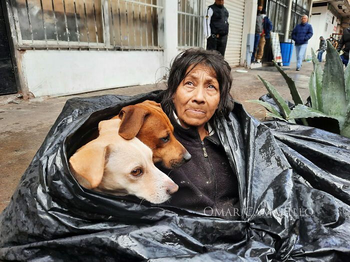 Homeless Woman Found In A Garbage Bag On The Street With 6 Dogs Refuses To Go To A Shelter Because They Don't Allow Pets