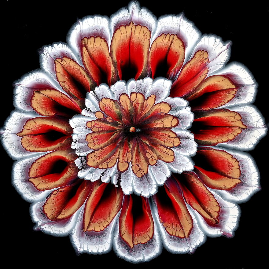 From Puddles To Flower ~ Easy Pour For Beginners ~ Reverse Flower Dip ~ Step By Step Tutorial From Puddles To Flower ~ Easy Pour For Beginners ~ Reverse Flower Dip ~ Step By Step Tutorial
