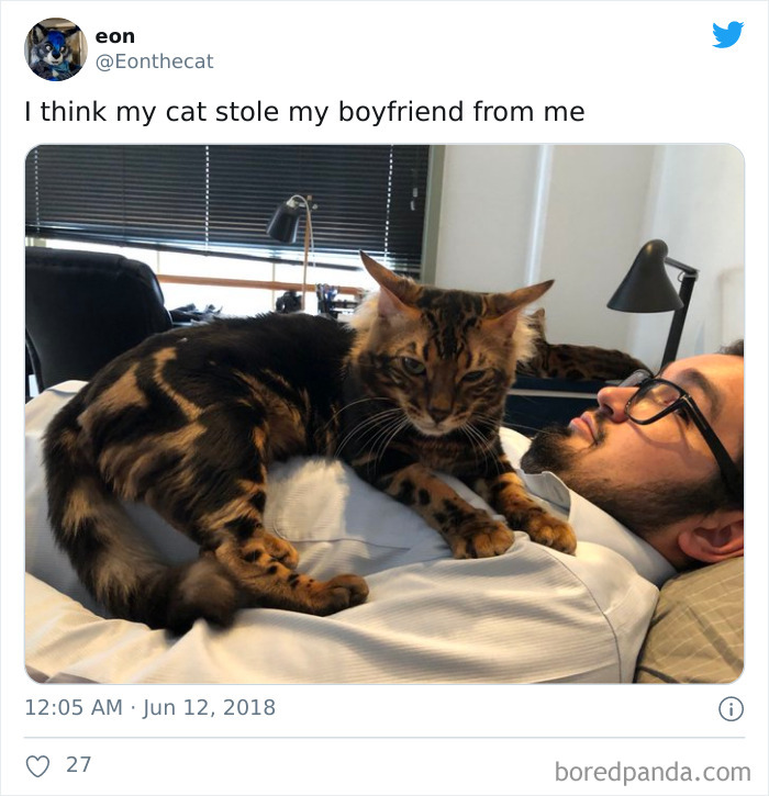 He Is Mine Meow