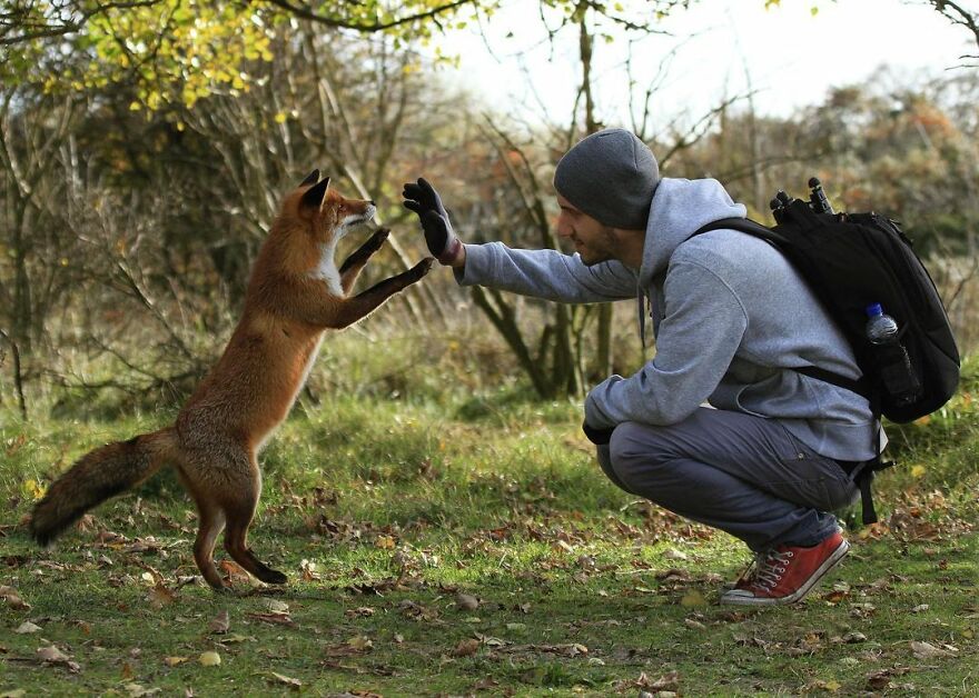 Austrian Wildlife Photographer Captures Nature’s Magical Moments (35 Pics)