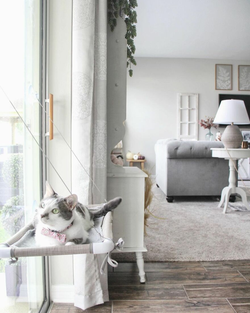The Most Spoiled Cat You'll Ever Meet Has Her Own Stylish Room