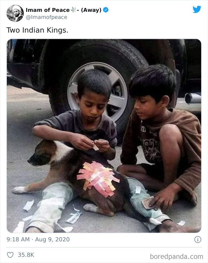 Two Street Children, With Barely Enough Money To Afford Slippers, Bandage An Injured Puppy