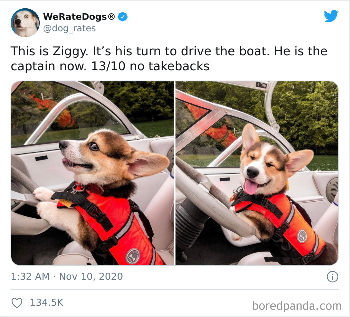 We-Rate-Dogs-Twitter
