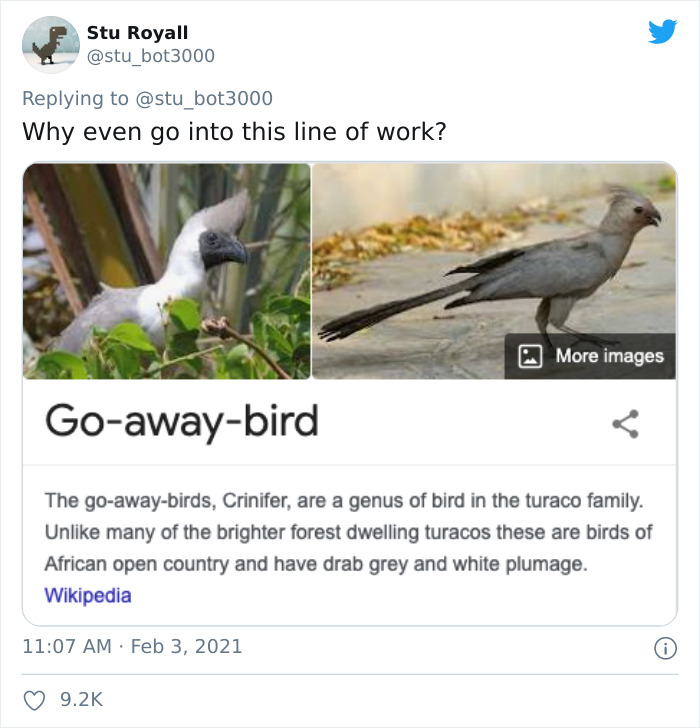 Go-Away-Bird