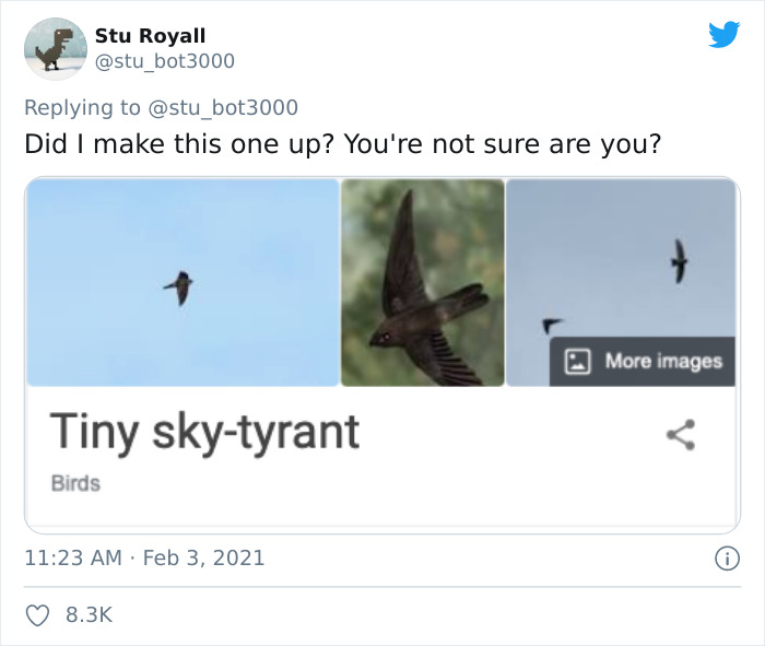Tiny Sky-Tyrant