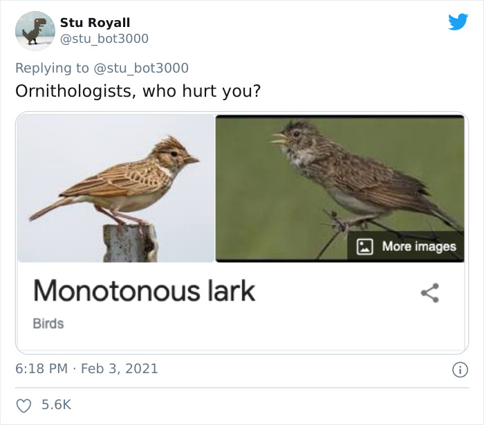 Monotonous Lark