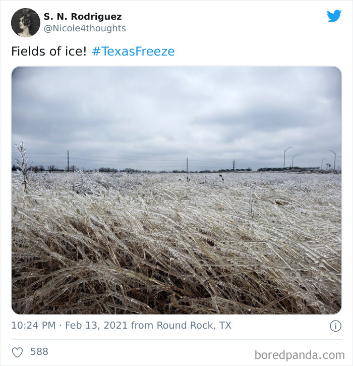 Texas Winter Storm