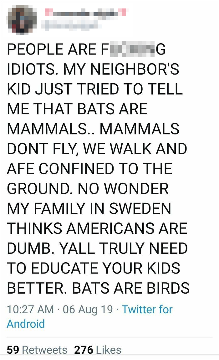 Bats Are Birds