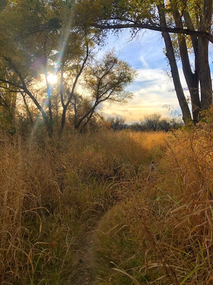 San Pedro Riparian Preserve, Cochise County, Southeastern Arizona