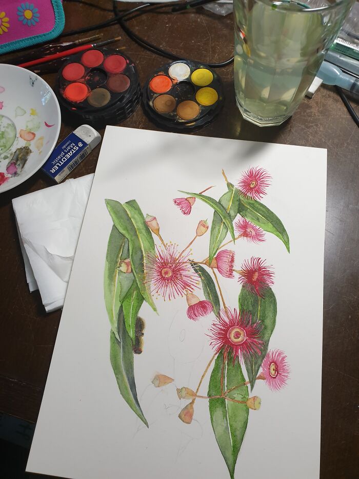 The Gum Trees Are Flowering In Sydney - I Hope To Finish This Before They're Gone