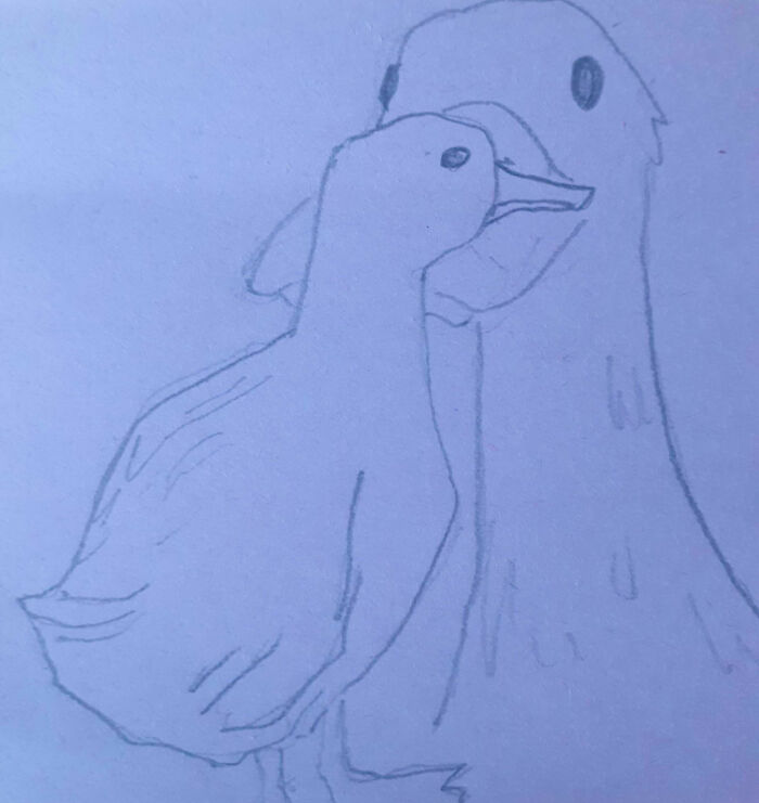 Duckie