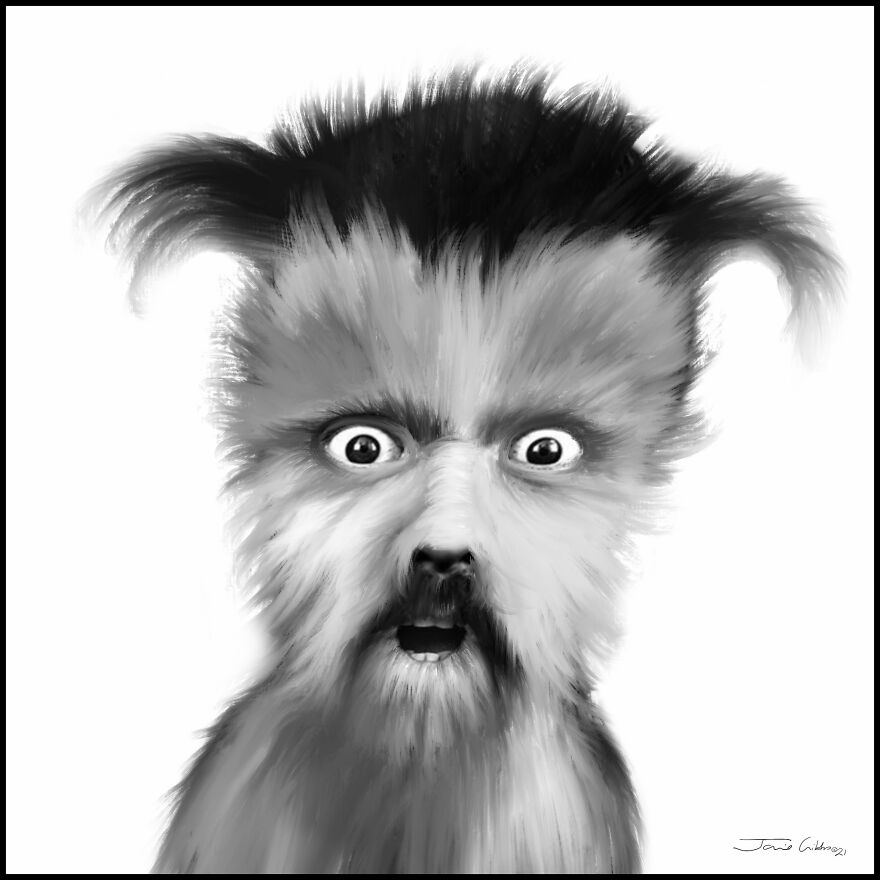Making Art And Keeping Sane During The Pandemic Helps Me Reveal The Hidden Personalities Of Dogs And Cats And Their Human Counterparts! Making Art And Keeping Sane During The Pandemic Helps Me Reveal The Hidden Personalities Of Dogs And Cats And Their Human Counterparts!