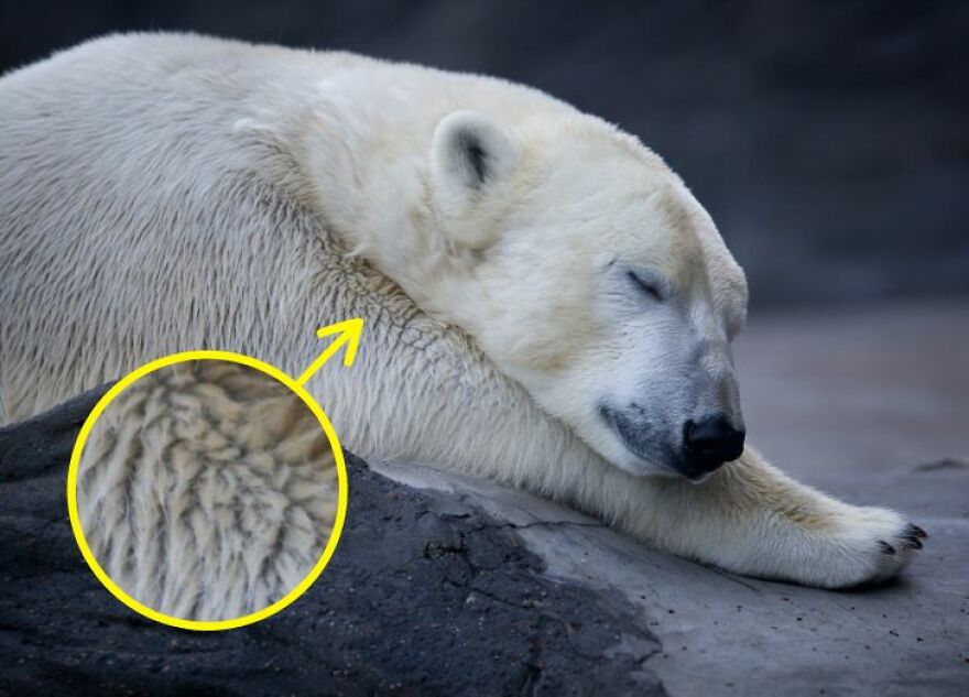 35 Amazing Facts You Didn't Know About 35 Amazing Facts You Didn't Know About