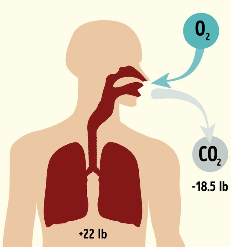 35 Amazing Facts You Didn't Know About 35 Amazing Facts You Didn't Know About