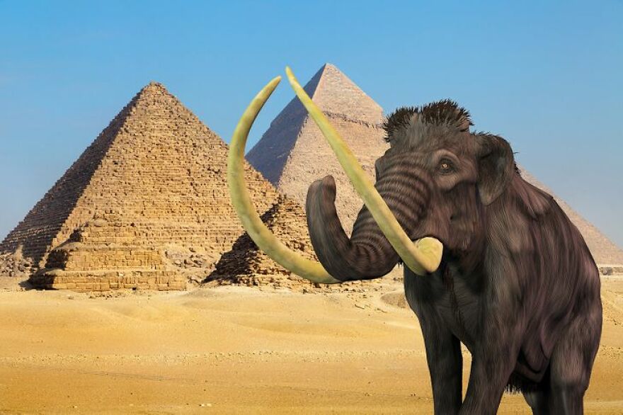 35 Amazing Facts You Didn't Know About 35 Amazing Facts You Didn't Know About