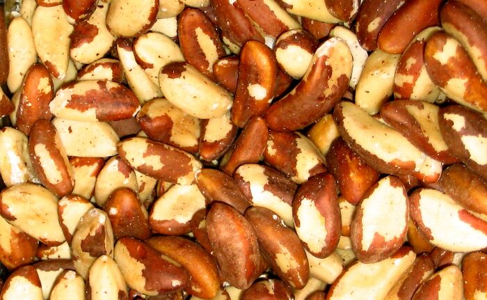 Til That A Woman Experienced A Brazil Nut Allergy After The Allergen Was Passed To Her From Her Partner's Semen During Intercourse. The Researchers Believe This To Be The First Case Of A Sexually Transmitted Allergic Reaction